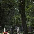 Waldfriedhof, Bild 1187