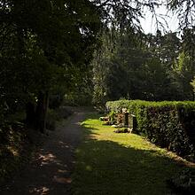 Waldfriedhof, Bild 1287