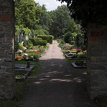 Altstadtfriedhof, Bild 987