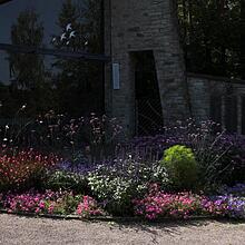 Waldfriedhof, Bild 1308