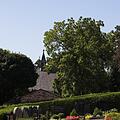 Hauptfriedhof, Ortsfriedhof, Bild 1508