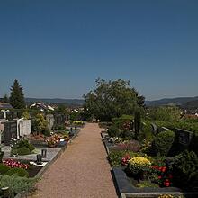 Waldfriedhof, Bild 1458