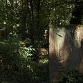 Waldfriedhof, Bild 1168