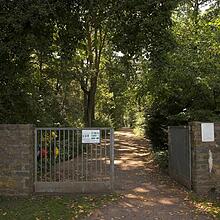 Waldfriedhof, Bild 1198