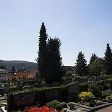 Hauptfriedhof, Ortsfriedhof, Bild 1509