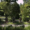 Friedhof, Bild 1429
