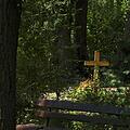 Waldfriedhof, Bild 1139