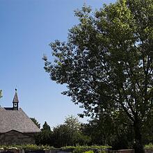 Hauptfriedhof, Ortsfriedhof, Bild 1539