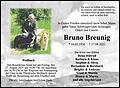 Bruno Breunig
