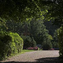 Waldfriedhof, Bild 1279