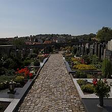 Waldfriedhof, Bild 1489